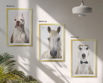 Cadre photo mural Portraits élégants de chiens et de chevaux