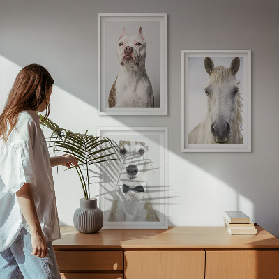 Cadre photo mural Portraits élégants de chiens et de chevaux