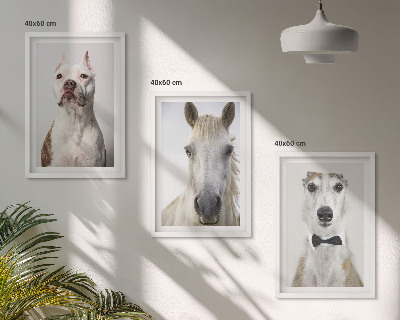 Cadre photo mural Portraits élégants de chiens et de chevaux