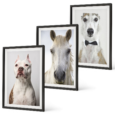 Cadre photo mural Portraits élégants de chiens et de chevaux