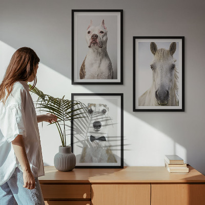 Cadre photo mural Portraits élégants de chiens et de chevaux