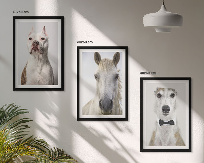 Cadre photo mural Portraits élégants de chiens et de chevaux
