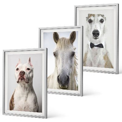 Cadre photo mural Portraits élégants de chiens et de chevaux
