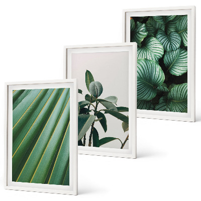 Lot de 3 tableaux pour salon Feuilles tropicales esthétiques