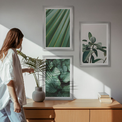 Lot de 3 tableaux pour salon Feuilles tropicales esthétiques