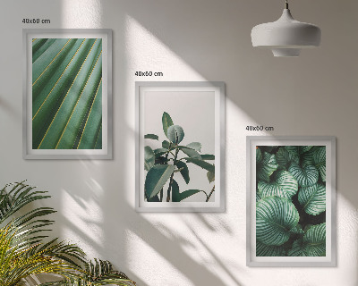 Lot de 3 tableaux pour salon Feuilles tropicales esthétiques