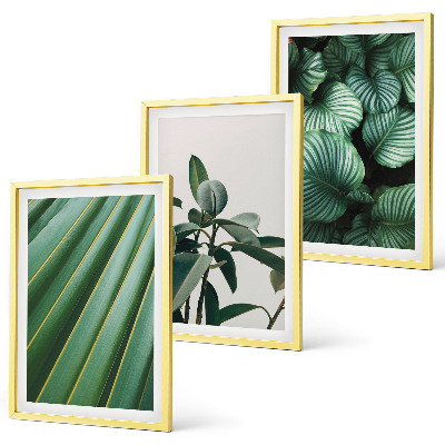 Lot de 3 tableaux pour salon Feuilles tropicales esthétiques