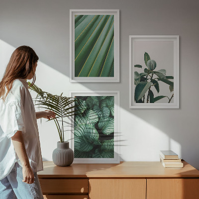 Lot de 3 tableaux pour salon Feuilles tropicales esthétiques