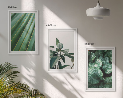 Lot de 3 tableaux pour salon Feuilles tropicales esthétiques