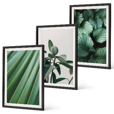 Lot de 3 tableaux pour salon Feuilles tropicales esthétiques
