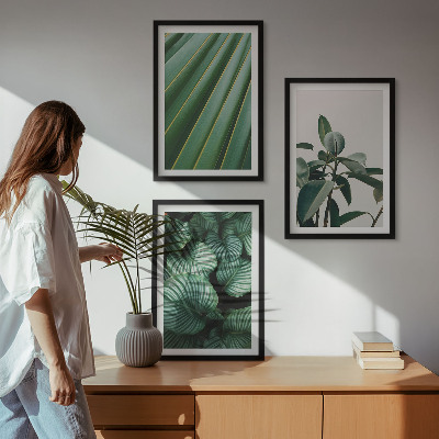 Lot de 3 tableaux pour salon Feuilles tropicales esthétiques