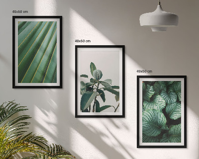 Lot de 3 tableaux pour salon Feuilles tropicales esthétiques
