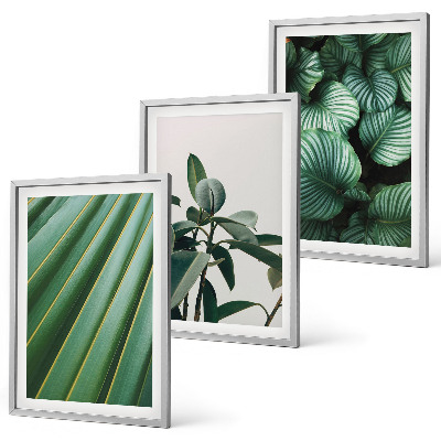 Lot de 3 tableaux pour salon Feuilles tropicales esthétiques