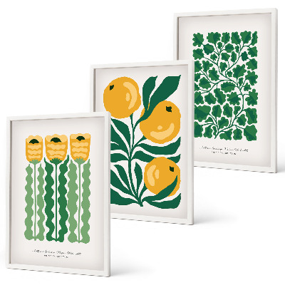 Lot de 3 tableaux pour salon Motifs végétaux, fleurs, feuilles