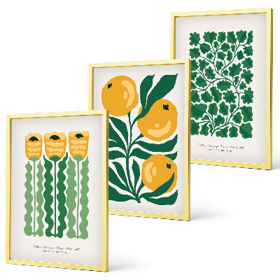 Lot de 3 tableaux pour salon Motifs végétaux, fleurs, feuilles