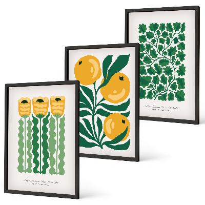 Lot de 3 tableaux pour salon Motifs végétaux, fleurs, feuilles