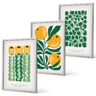 Lot de 3 tableaux pour salon Motifs végétaux, fleurs, feuilles