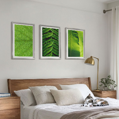 Cadre photo mural Photographie macro de feuilles tropicales