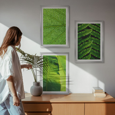 Cadre photo mural Photographie macro de feuilles tropicales