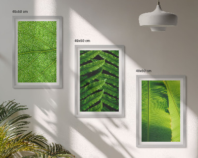 Cadre photo mural Photographie macro de feuilles tropicales