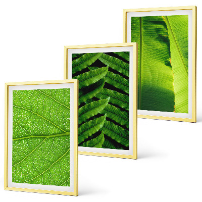 Cadre photo mural Photographie macro de feuilles tropicales