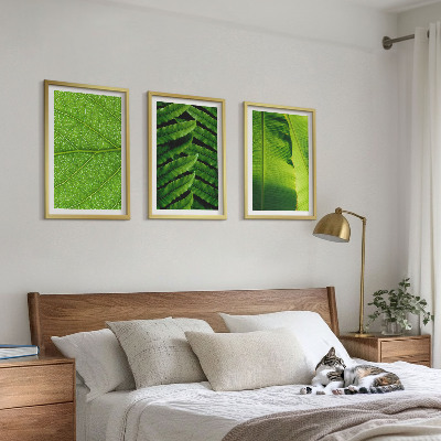 Cadre photo mural Photographie macro de feuilles tropicales
