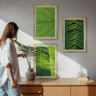Cadre photo mural Photographie macro de feuilles tropicales