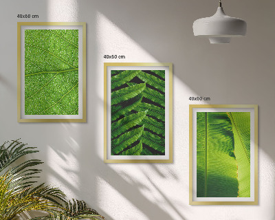 Cadre photo mural Photographie macro de feuilles tropicales