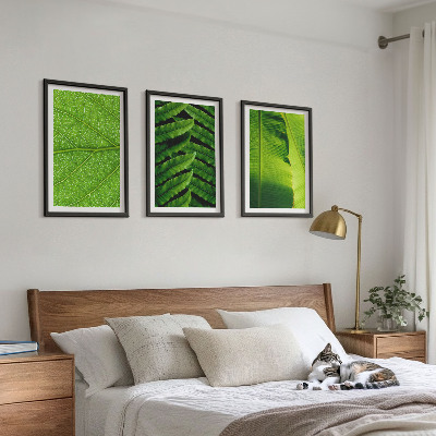 Cadre photo mural Photographie macro de feuilles tropicales