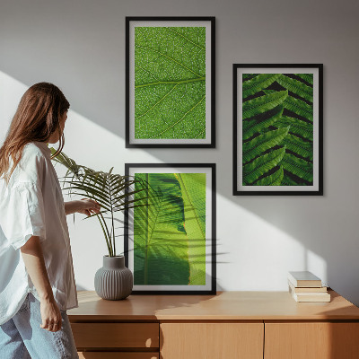 Cadre photo mural Photographie macro de feuilles tropicales