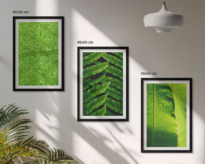Cadre photo mural Photographie macro de feuilles tropicales
