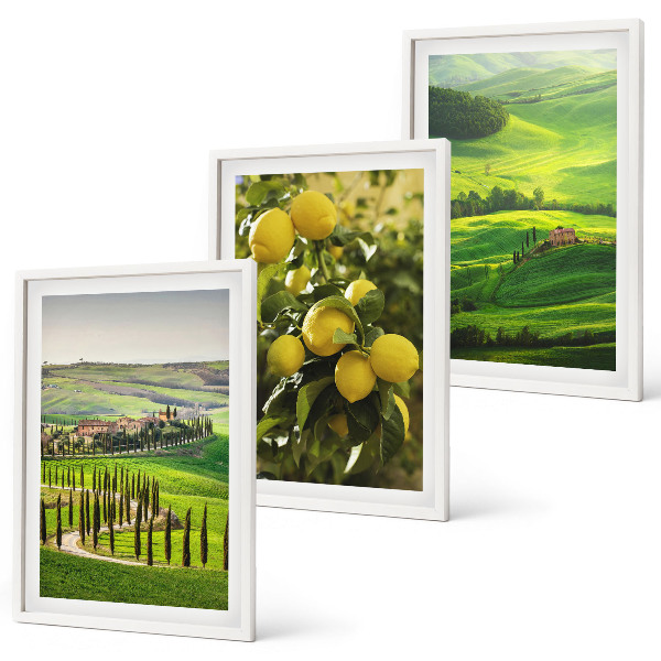 Lot de 3 tableaux pour salon Agrumes et collines italiennes