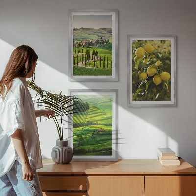 Lot de 3 tableaux pour salon Agrumes et collines italiennes