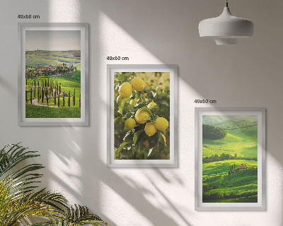 Lot de 3 tableaux pour salon Agrumes et collines italiennes
