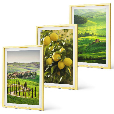 Lot de 3 tableaux pour salon Agrumes et collines italiennes