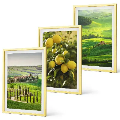 Lot de 3 tableaux pour salon représentant des agrumes et collines italiennes