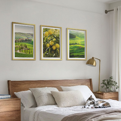 Lot de 3 tableaux pour salon Agrumes et collines italiennes