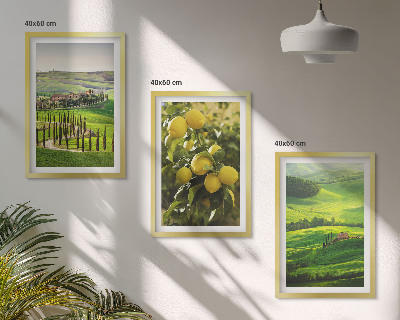 Lot de 3 tableaux pour salon Agrumes et collines italiennes