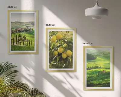 Lot de 3 tableaux pour salon représentant des agrumes et collines italiennes