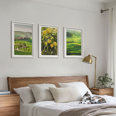 Lot de 3 tableaux pour salon Agrumes et collines italiennes