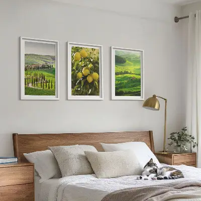 Lot de 3 tableaux pour salon représentant des agrumes et collines italiennes