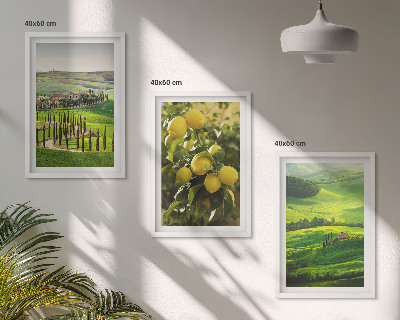 Lot de 3 tableaux pour salon Agrumes et collines italiennes
