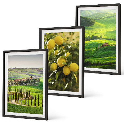 Lot de 3 tableaux pour salon Agrumes et collines italiennes