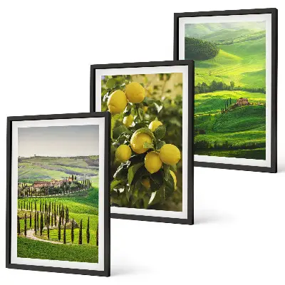 Lot de 3 tableaux pour salon représentant des agrumes et collines italiennes