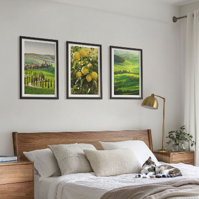 Lot de 3 tableaux pour salon Agrumes et collines italiennes