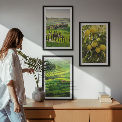 Lot de 3 tableaux pour salon Agrumes et collines italiennes