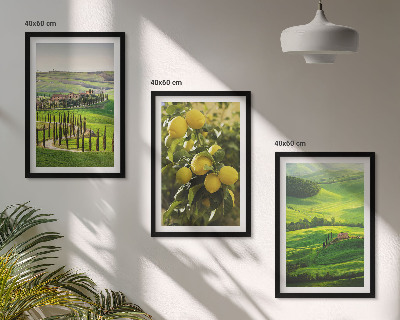 Lot de 3 tableaux pour salon Agrumes et collines italiennes