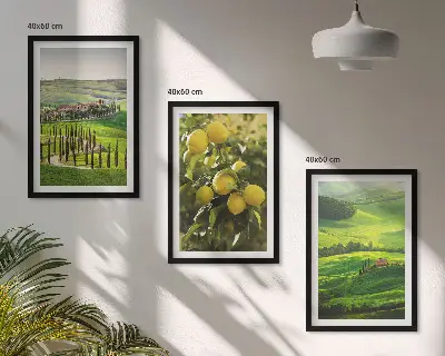 Lot de 3 tableaux pour salon représentant des agrumes et collines italiennes