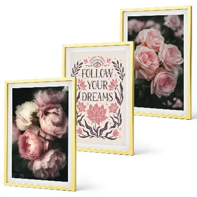Lot de 3 tableaux pour salon avec inscription sur les rêves de roses vintage