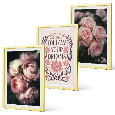 Lot de 3 tableaux pour salon Inscription sur les rêves de roses vintage